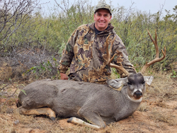 High Success Elk Hunts NM